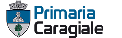 Site-ul vechi Primăriei I.L.Caragiale